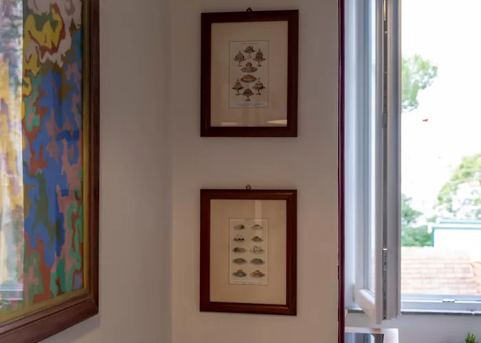 Elegantis Gallo - Few Steps From The Vatican *